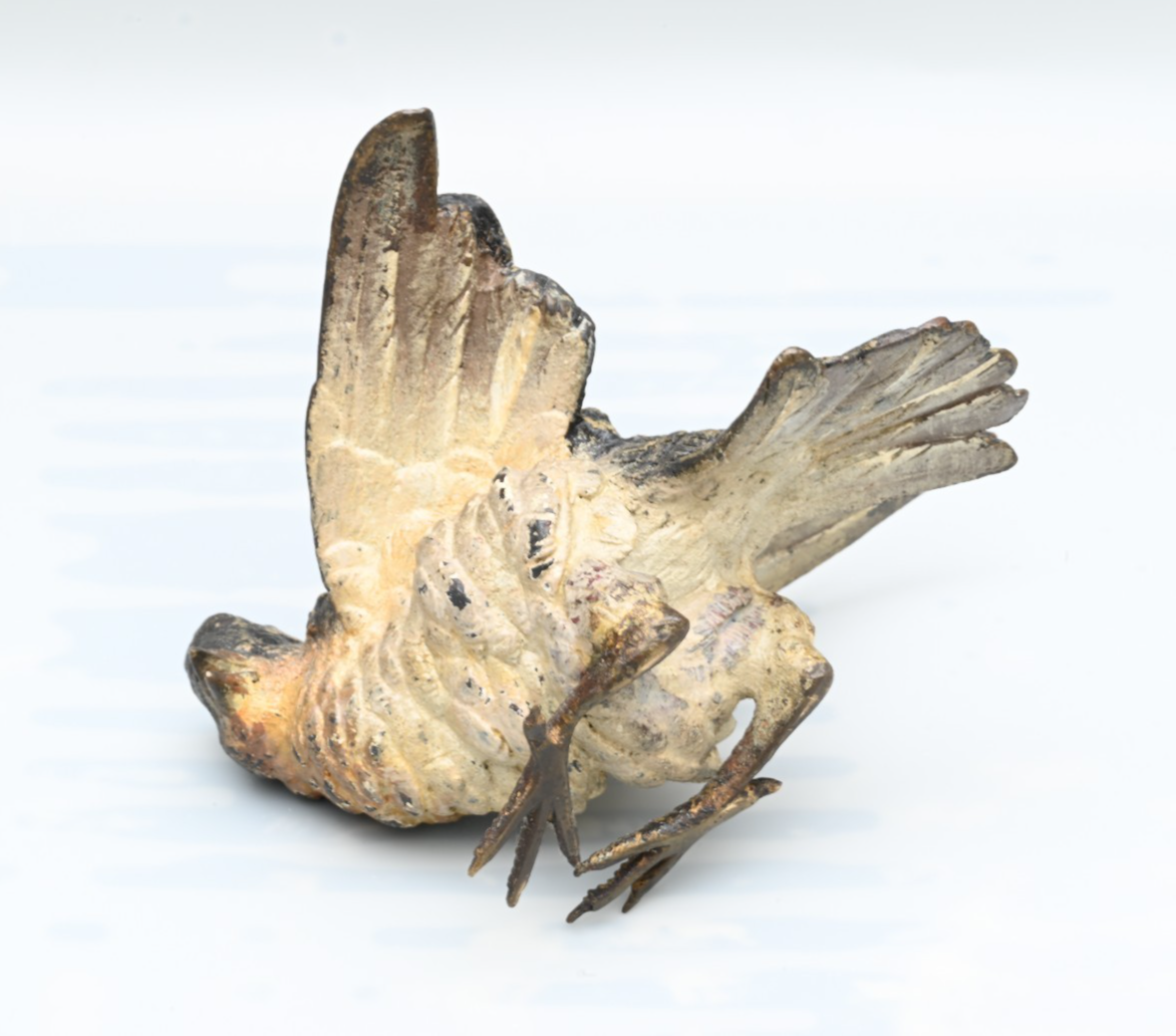 Detailed Antique Austrian Vienna Cold Painted Bronze Figure of Cuckoo Bird12