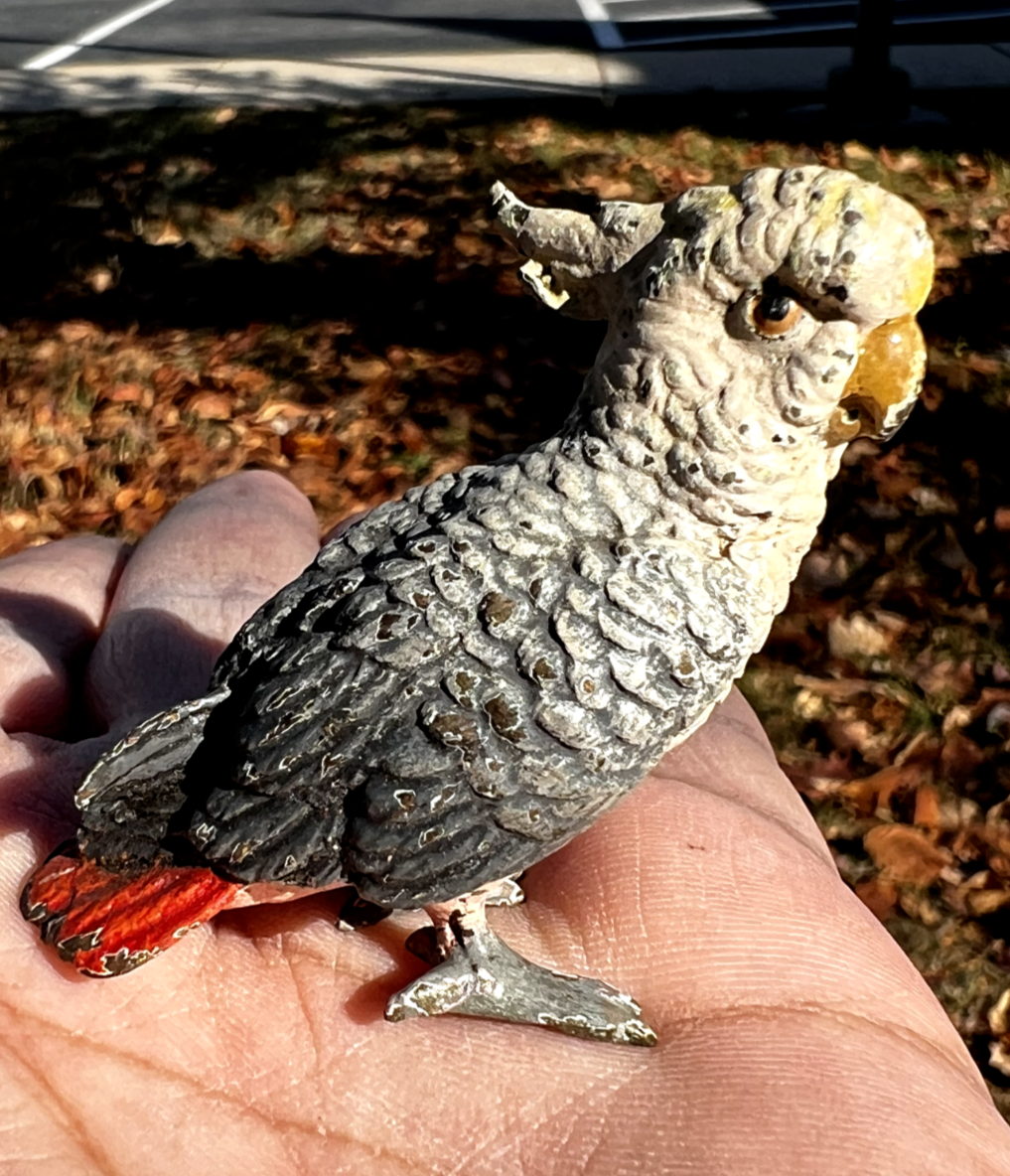 Original Antique Austrian Vienna Cold Painted Bronze Figure of Cockatoo7