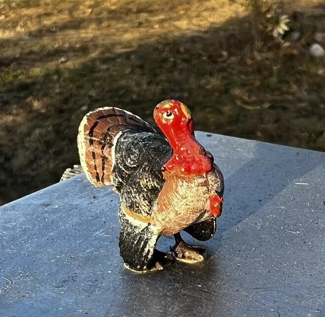 Antique Austrian Vienna Cold Painted Bronze Figure of Turkey3