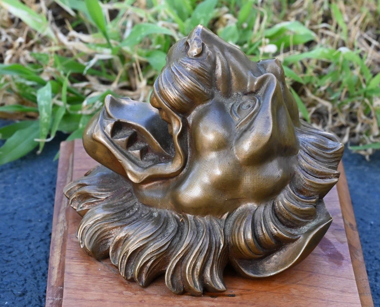 Superb Antique / Vintage Solid Bronze Lion Head Wall Ornaments6