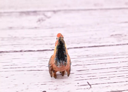 Original & Beautiful Antique Austrian Vienna Cold Painted Bronze of Tiny Rooster11