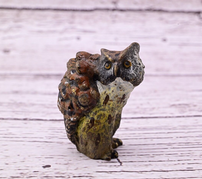 Well Detailed Antique Austrian Vienna Cold Painted Bronze Figure of Owl8