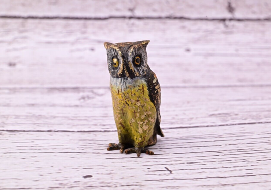 High Quality Antique Austrian Vienna Cold Painted Bronze Figure of Owl0