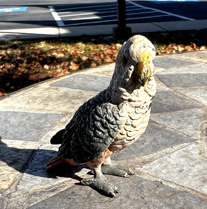 Original Antique Austrian Vienna Cold Painted Bronze Figure of Cockatoo14