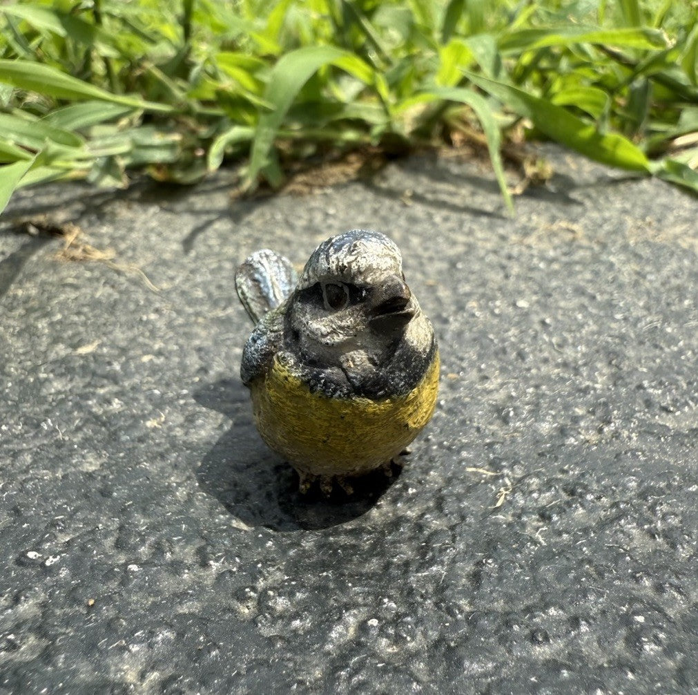 Original Antique Austrian Vienna Cold Painted Bronze of Great Tit Songbird3