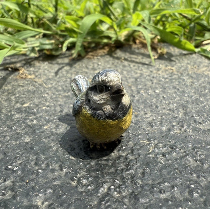 Original Antique Austrian Vienna Cold Painted Bronze of Great Tit Songbird3