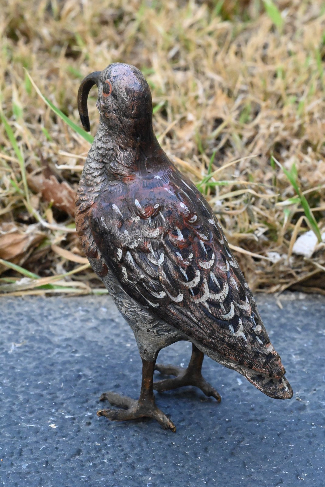 Amazing Austrian Vienna Cold Painted Bronze Figure of American Woodcock Bird3