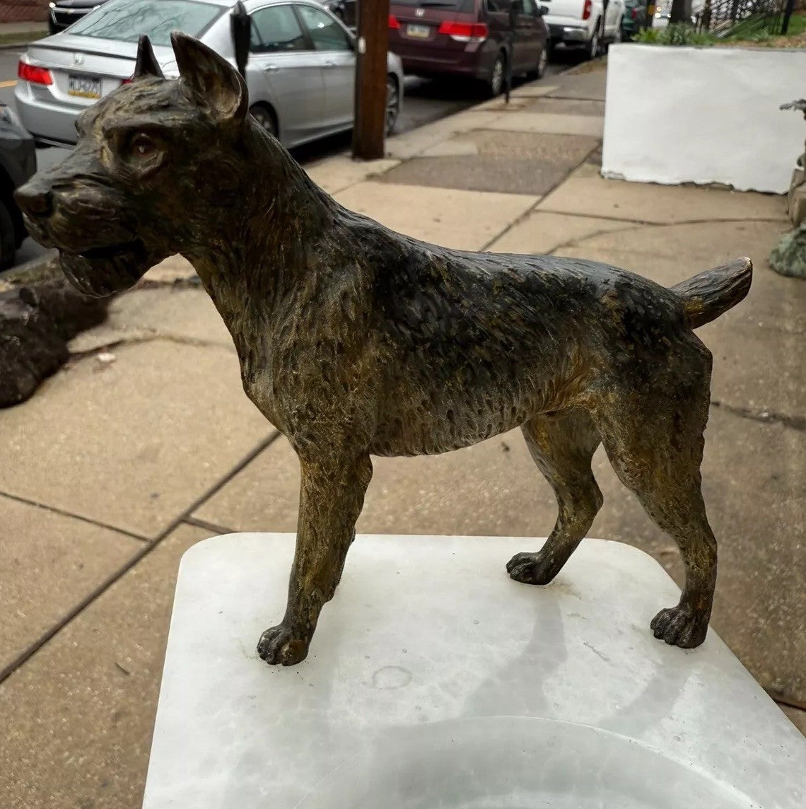 Super Detailed Antique Austrian Vienna Cold Painted Bronze Figure of Terrier Dog2