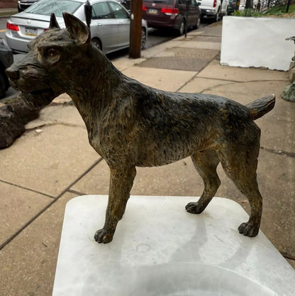 Super Detailed Antique Austrian Vienna Cold Painted Bronze Figure of Terrier Dog2