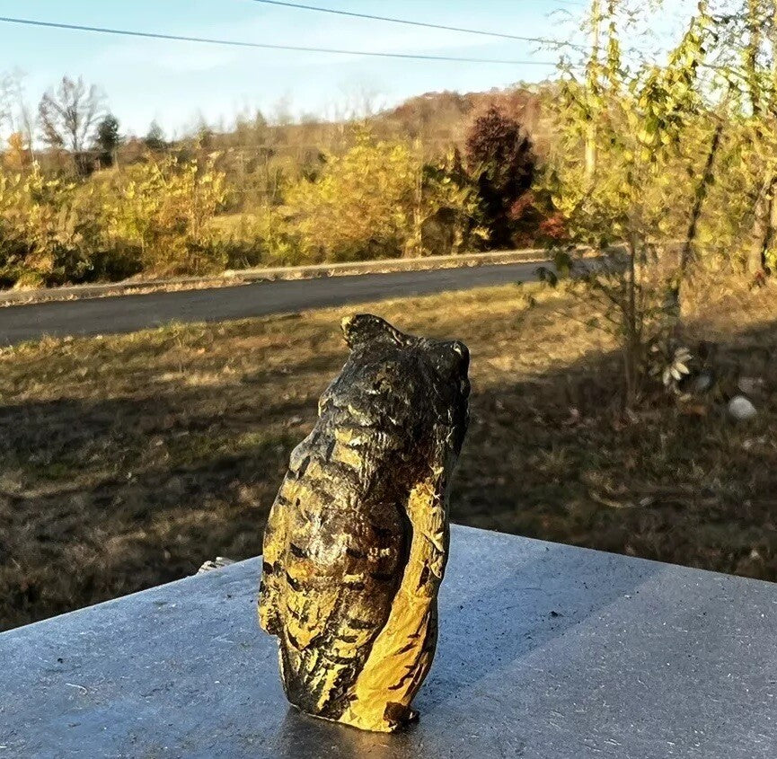 Amazing Antique Austrian Vienna Cold Painted Bronze Figure of Owl3