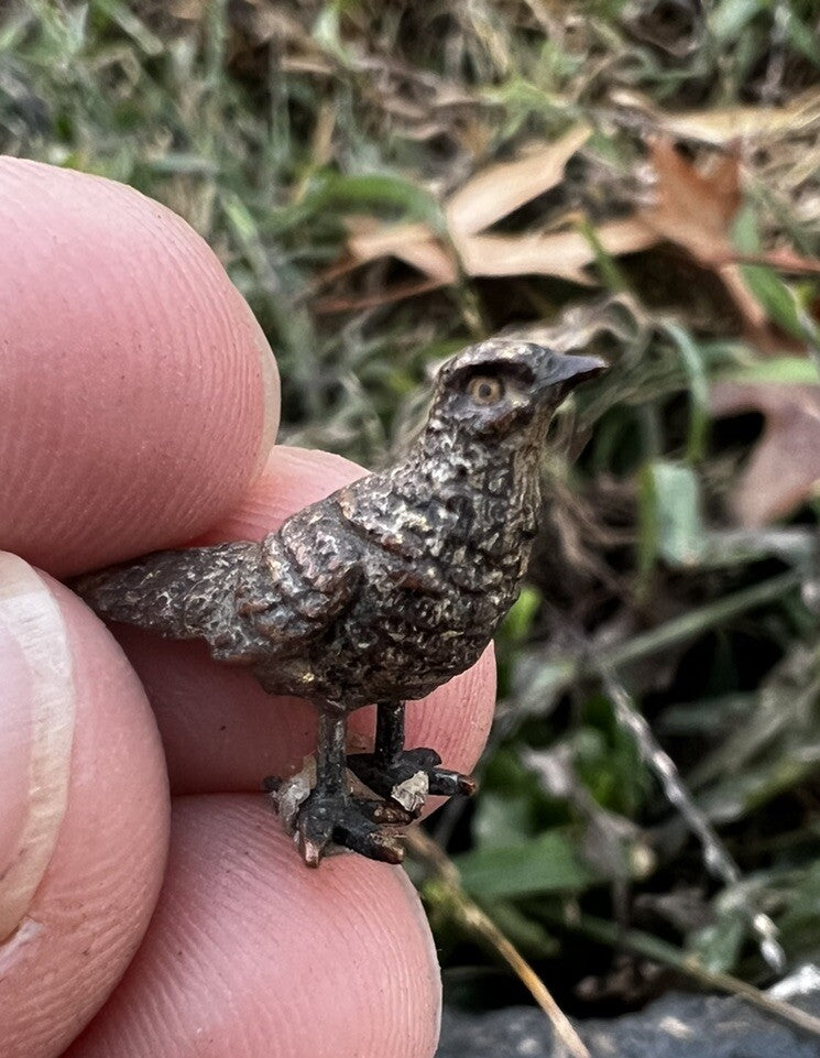 Miniature Antique Austrian Vienna Cold Painted Bronze Figure of Pheasant0
