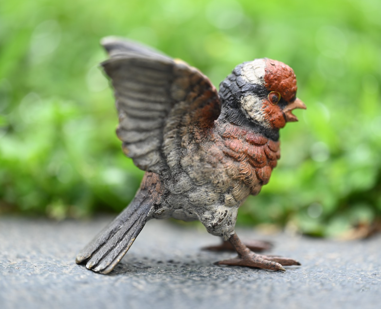 Amazing Life - Like Austrian Vienna Cold Painted Bronze Figure of Goldfinch Bird6