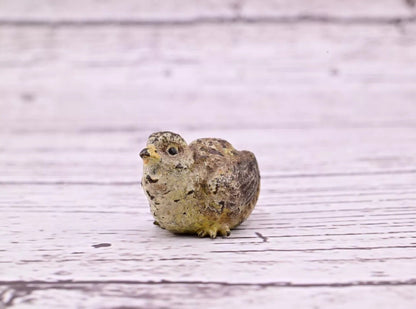 Super Nice Antique Austrian Vienna Cold Painted Bronze Figure of Quail9