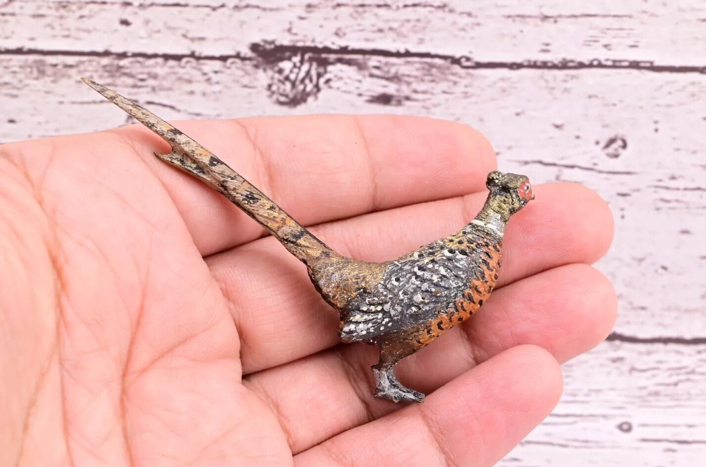 Amazing Antique Austrian Vienna Cold Painted Bronze Figure of Ring Neck Pheasant7