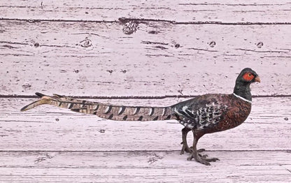 Antique Austrian Vienna Cold Painted Bronze Figure of Large Pheasant Bird3