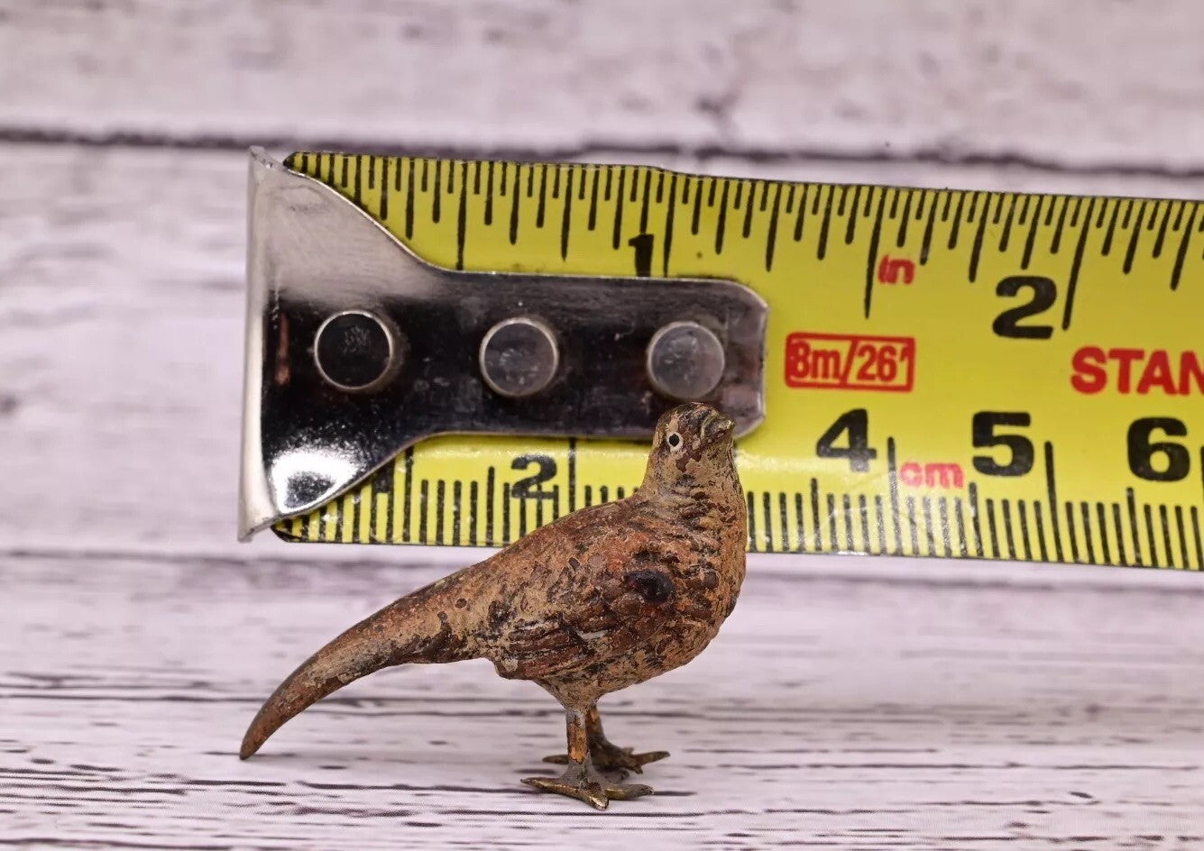 Amazing Antique Austrian Vienna Cold Painted Bronze Figure of Tiny Pheasant7