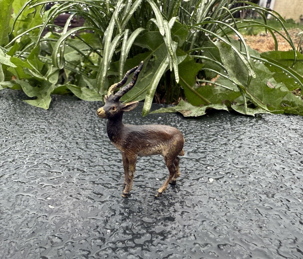 Lovely Antique Austrian Vienna Cold Painted Bronze Figure of Antelope / Gazelle8