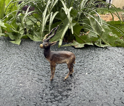 Lovely Antique Austrian Vienna Cold Painted Bronze Figure of Antelope / Gazelle8