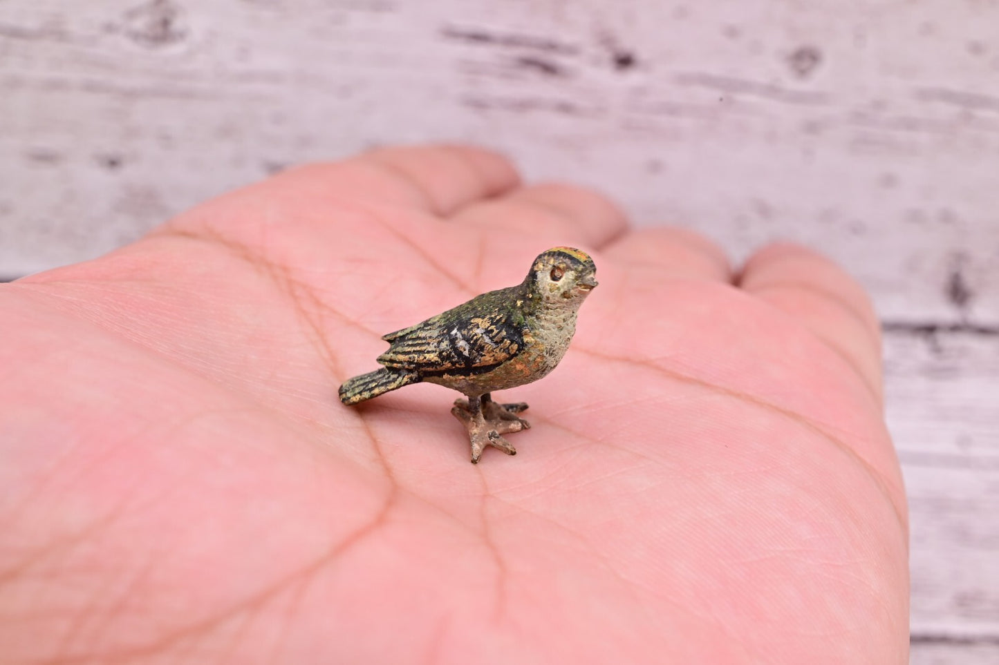 Lovely Antique Austrian Vienna Cold Painted Bronze Figure of Small Green Bird1