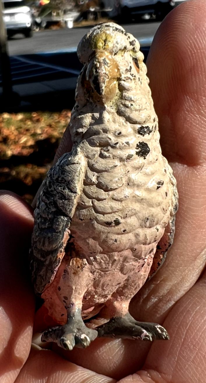 Original Antique Austrian Vienna Cold Painted Bronze Figure of Cockatoo2