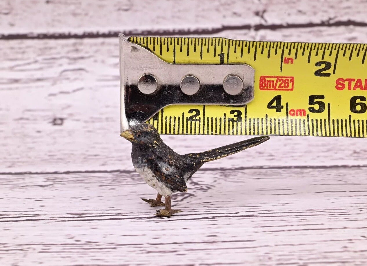 Highly Detailed Antique Austrian Vienna Cold Painted Bronze Small Black Bird13