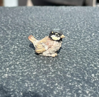 Lovely Antique Austrian Vienna Cold Painted Bronze Figure of Cute Small Sparrow5