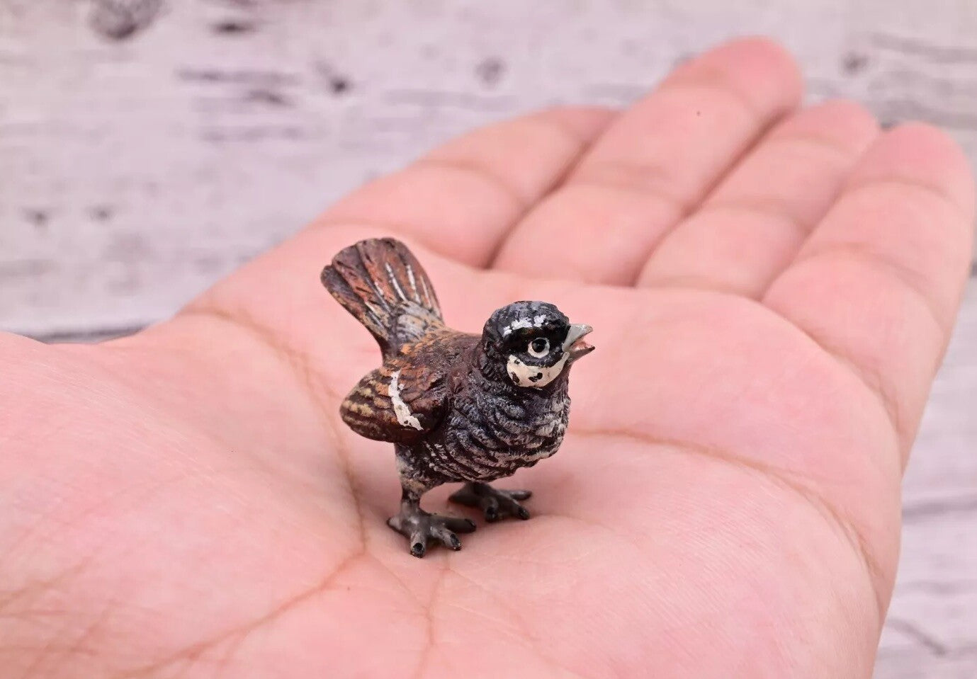 Lovely Antique Austrian Vienna Cold Painted Bronze Figure of Sparrow Bird6