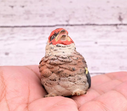 Super Cute Antique Austrian Vienna Cold Painted Bronze Figure of Goldfinch8