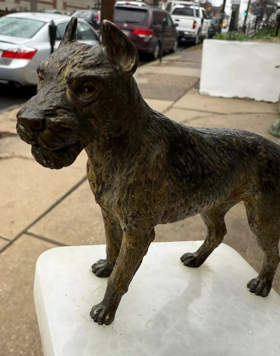 Super Detailed Antique Austrian Vienna Cold Painted Bronze Figure of Terrier Dog3