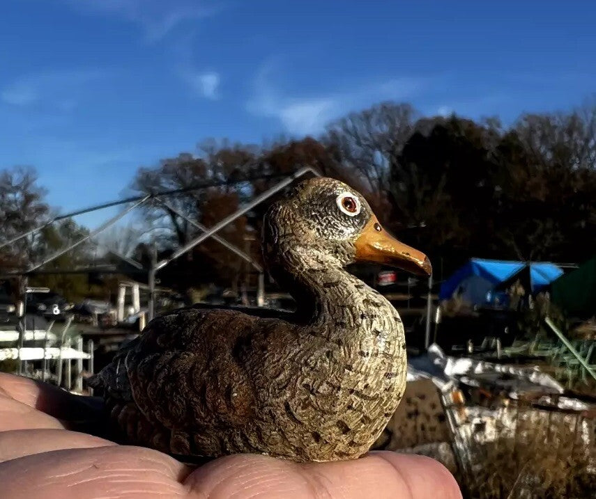 Antique Austrian Vienna Cold Painted Bronze Figure of Sitting Mallard Duck4