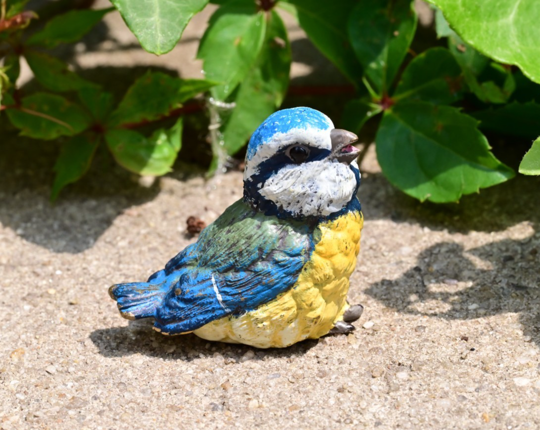 Lovely Austrian Vienna Cold Painted Bronze Figure of Blue & Yellow Tit Songbird2