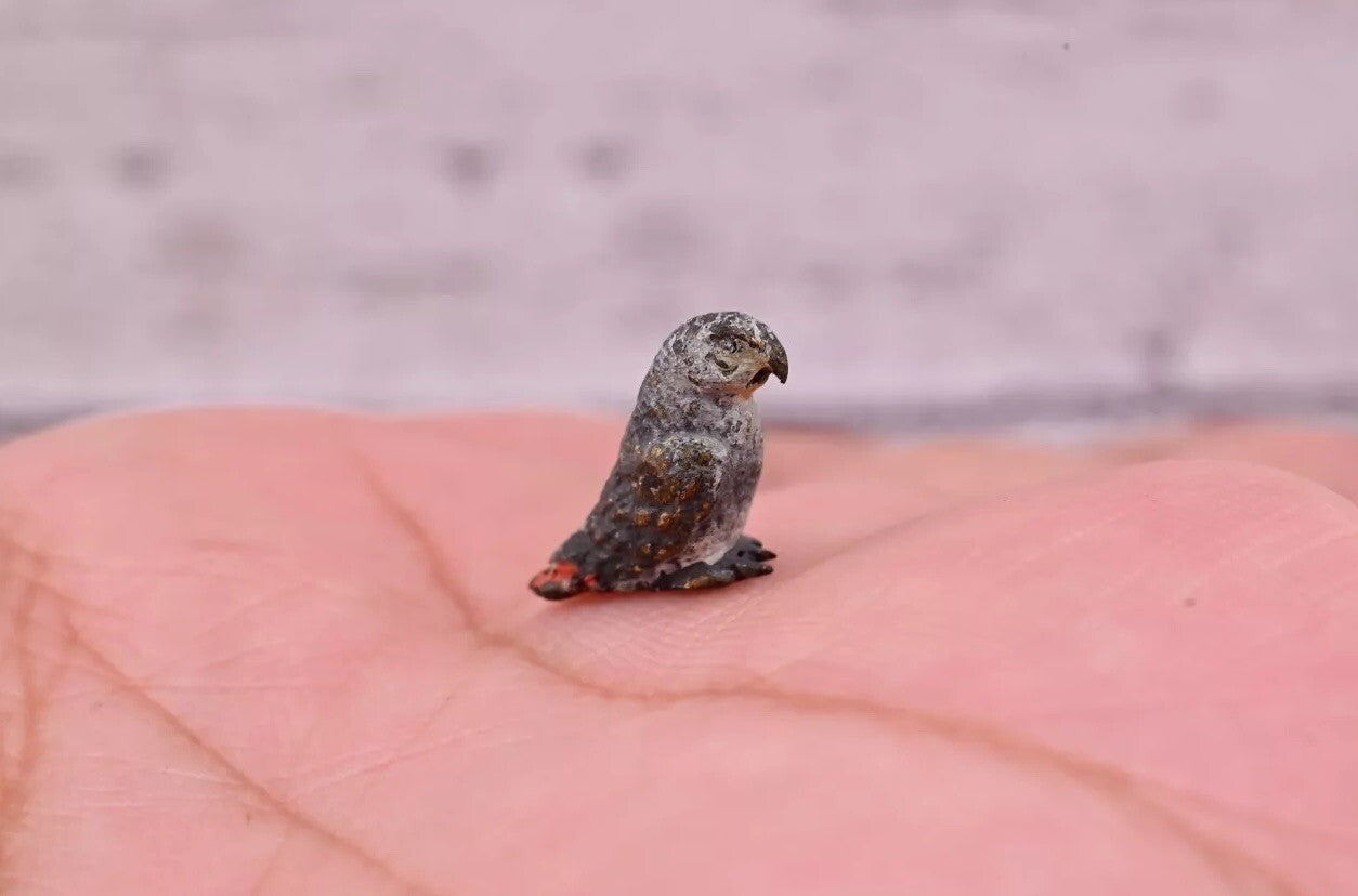 Awesome Antique Austrian Vienna Cold Painted Bronze Figure of Small Gray Parrot0
