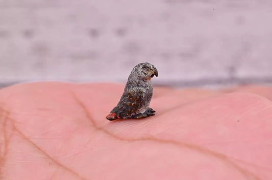 Awesome Antique Austrian Vienna Cold Painted Bronze Figure of Small Gray Parrot0