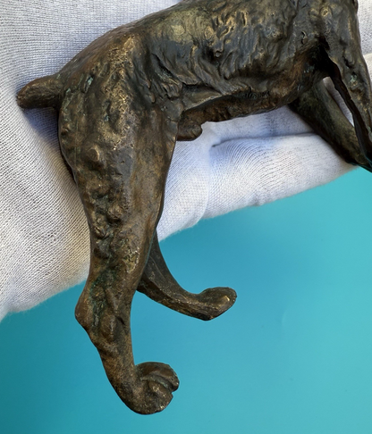 Antique 1900s Austrian Vienna Cold Painted Bronze Figure of Giant Schnauzer5