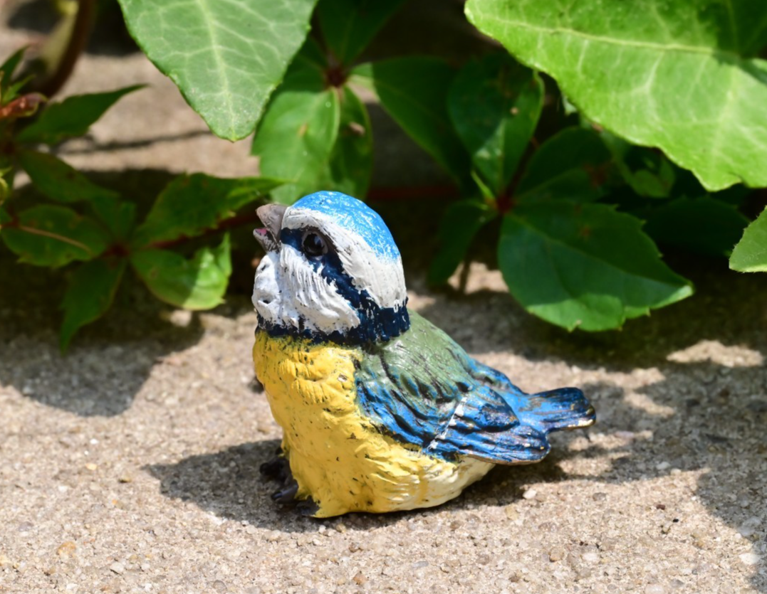 Lovely Austrian Vienna Cold Painted Bronze Figure of Blue & Yellow Tit Songbird5