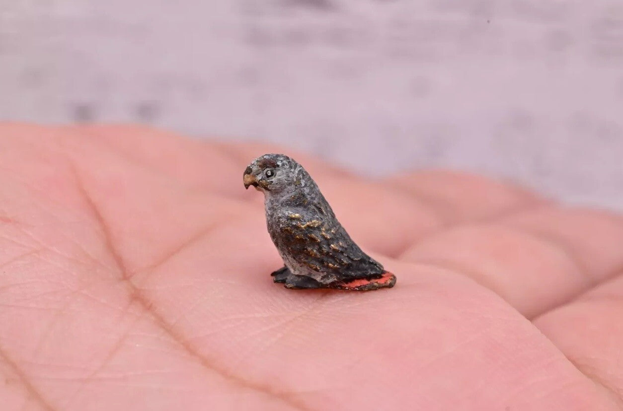Awesome Antique Austrian Vienna Cold Painted Bronze Figure of Small Gray Parrot2