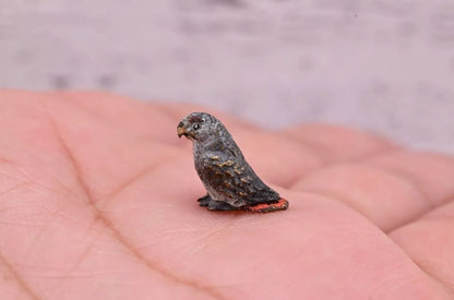Awesome Antique Austrian Vienna Cold Painted Bronze Figure of Small Gray Parrot2
