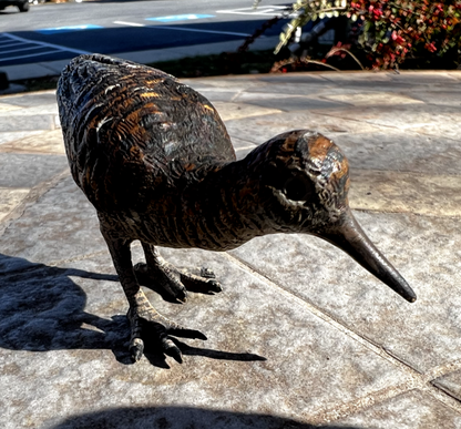 Antique Austrian Vienna Cold Painted Bronze Figure of Eurasian Woodcock3