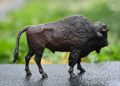 Large Antique Austrian Vienna Cold Painted Bronze Figure American Buffalo Bison5