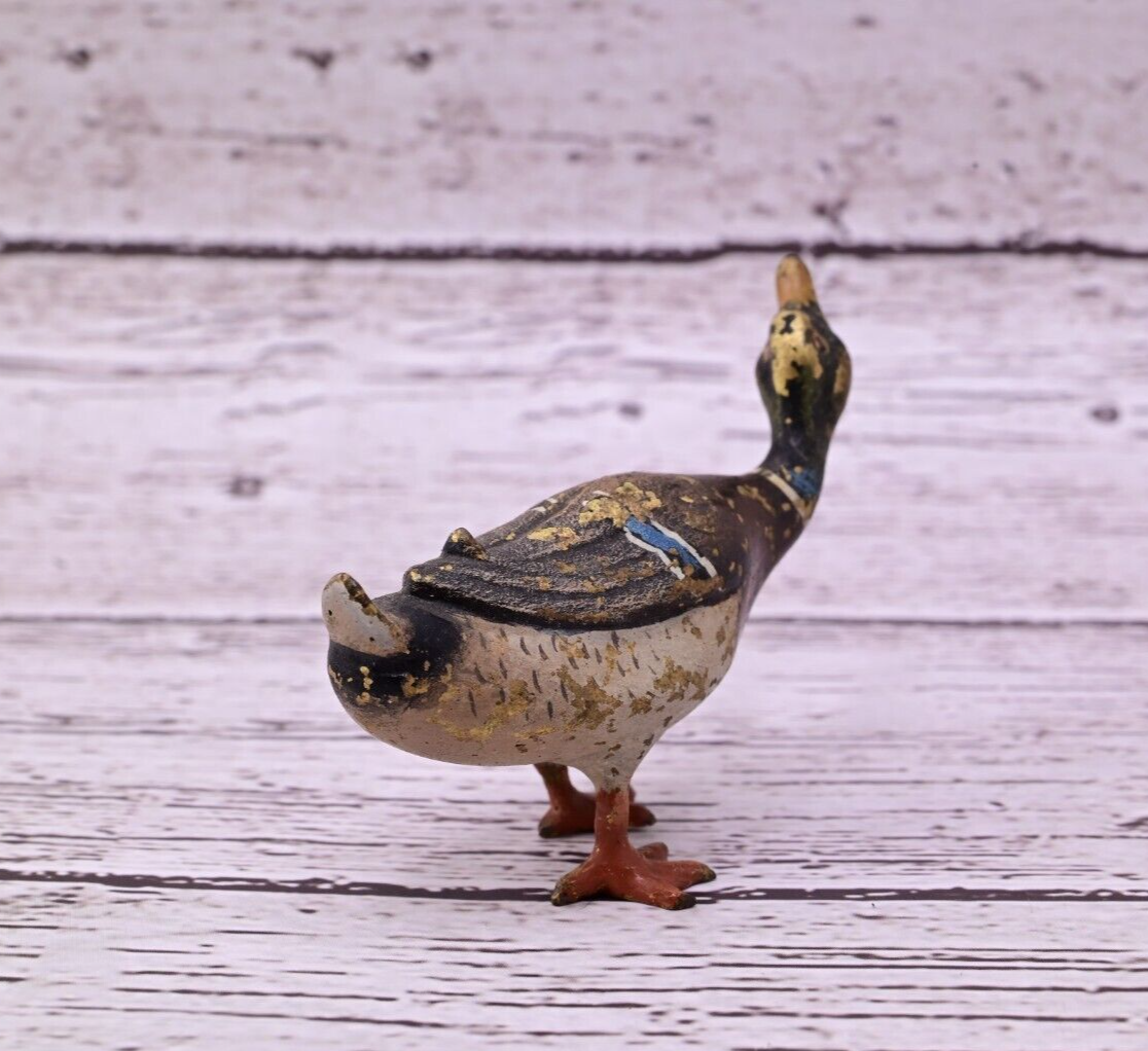 Antique Austrian Vienna Cold Painted Bronze Figure of Mallard Duck Figure3