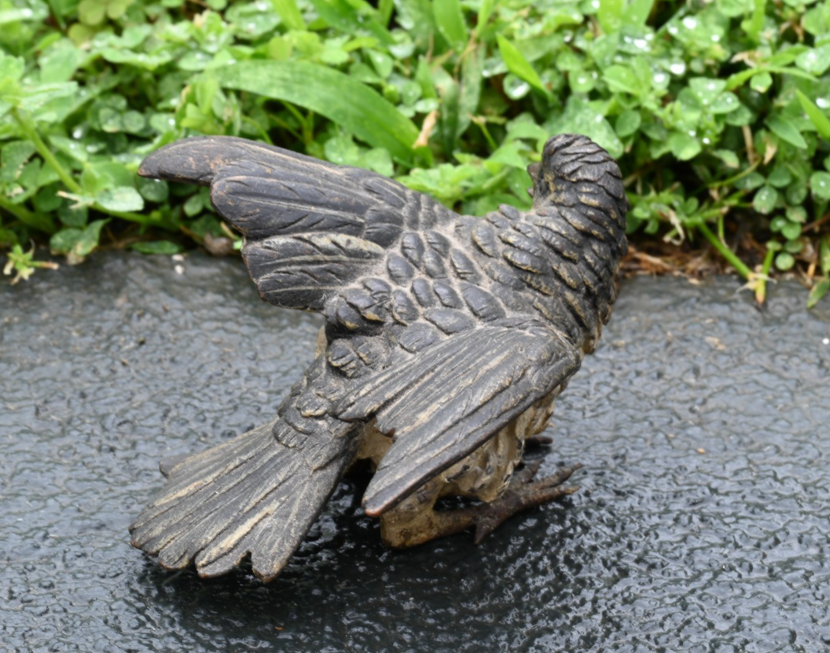 Detailed Antique Austrian Vienna Cold Painted Bronze Figure of Cuckoo Bird3
