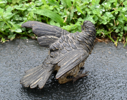 Detailed Antique Austrian Vienna Cold Painted Bronze Figure of Cuckoo Bird3