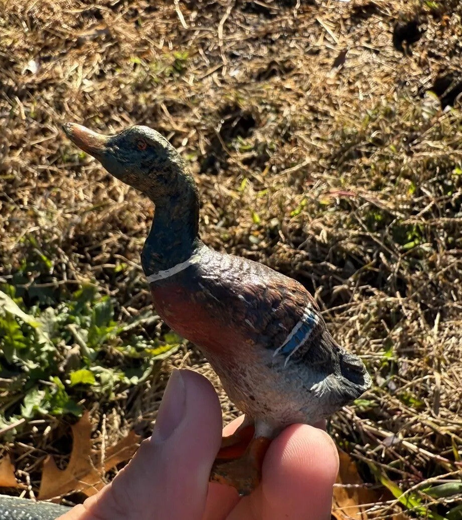 Detailed Antique Austrian Vienna Cold Painted Bronze Figure of Mallard Duck0
