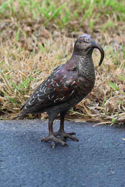 Amazing Austrian Vienna Cold Painted Bronze Figure of American Woodcock Bird0
