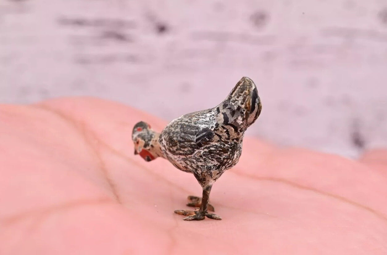 1900s Antique Austrian Vienna Cold Painted Bronze Figure of Chicken Searching2