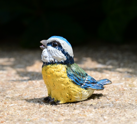 Lovely Austrian Vienna Cold Painted Bronze Figure of Blue & Yellow Tit Songbird1