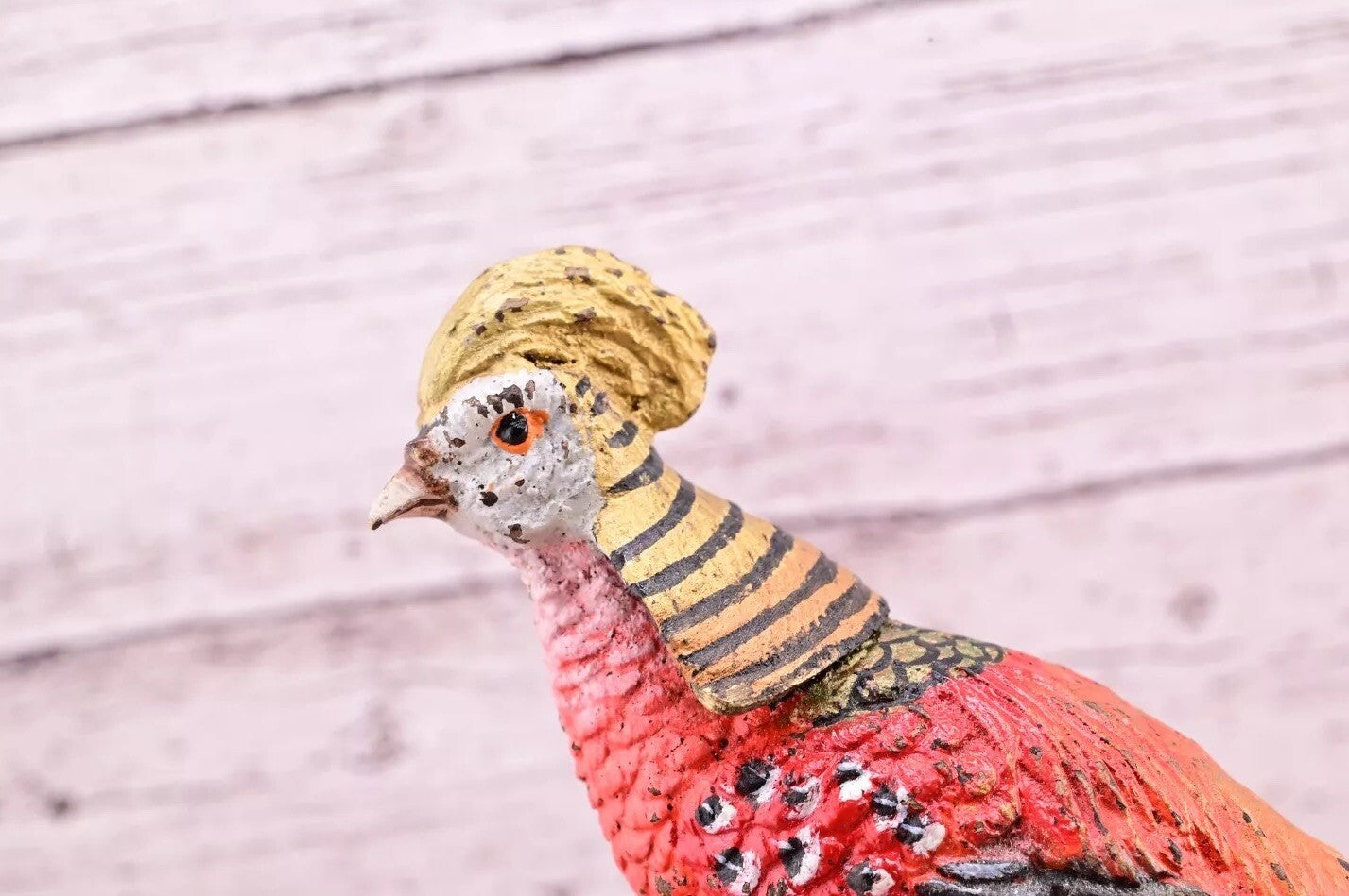 Attractive Antique Austrian Vienna Cold Painted Bronze Figure of Golden Pheasant10