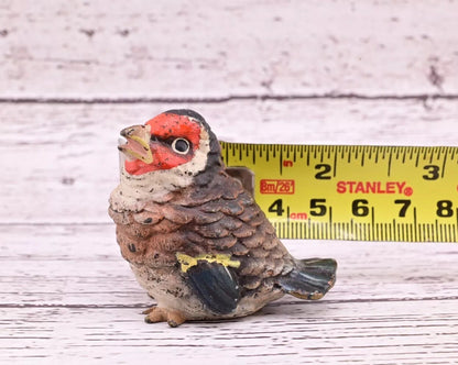 Super Cute Antique Austrian Vienna Cold Painted Bronze Figure of Goldfinch13