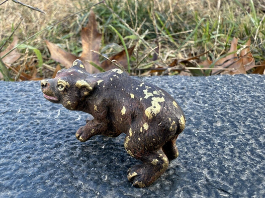 Gorgeous Antique Austrian Vienna Cold Painted Bronze Figure of Brown Bear Cub1