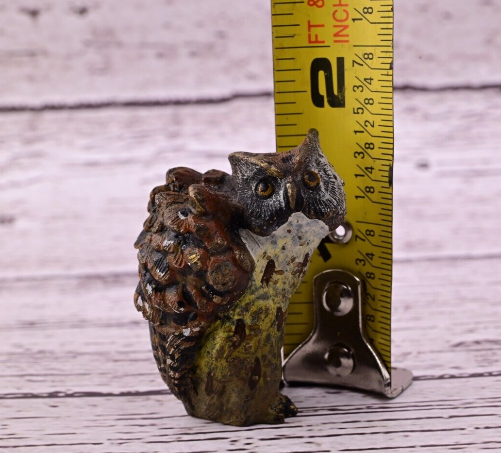 Well Detailed Antique Austrian Vienna Cold Painted Bronze Figure of Owl9